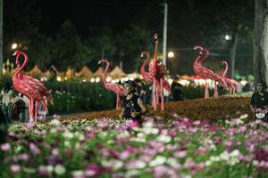 BIB: 
                            <button type="button" onclick="openModal(27337328)" class="btn btn-primary btn-sm float-right btn-popup" data-toggle="modal" data-target=".modal-high-quality">
                        <i class="fas fa-shopping-cart"></i> Add to Cart
                    </button>
                                            <button type="button" onclick="isThisMe(27337328, true)" class="btn btn-success btn-sm float-right btn-popup btn-isme hidden" data-toggle="tooltip" data-placement="bottom" title="นี่คือรูปของคุณใช่ไหม คลิกที่นี่เพื่อเอาเข้าอัลบั้ม">
                        <i class="fas fa-plus"></i> Add to album
                    </button>
                    <button type="button" onclick="isThisMe(27337328, false)" class="btn btn-warning btn-sm float-right btn-popup btn-isnotme hidden">
                        <i class="fas fa-ban"></i> Remove from album
                    </button>